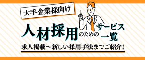 大手企業様向け人材採用のためのサービス一覧｜求人掲載～新しい採用手法までご紹介！
